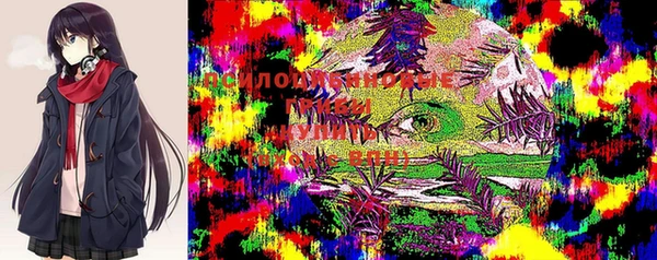 дмт Волоколамск