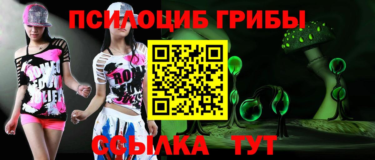 Псилоцибиновые грибы мухоморы Гуково